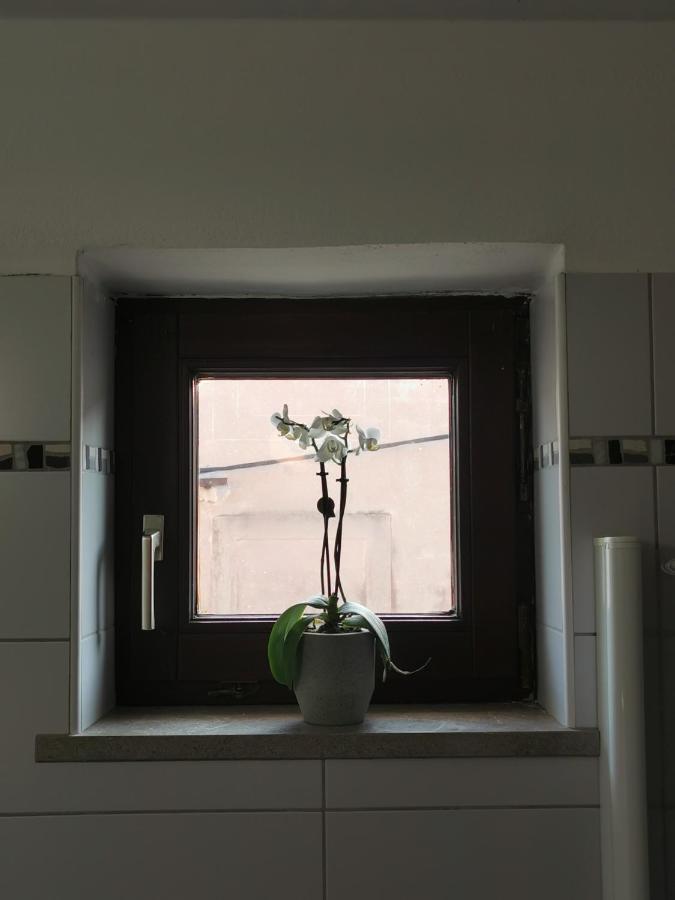 Istrian Old Town Apartment Koper Luaran gambar